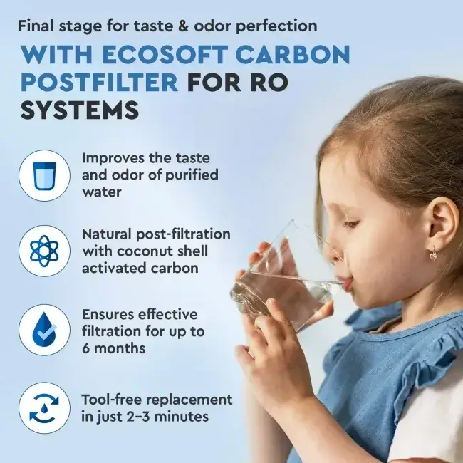 Filtru inline din cărbune activ granular pentru postfiltrare osmoză inversă, Ecosoft CHV2010, din coajă de nucă de cocos, conectori rapizi 1/4