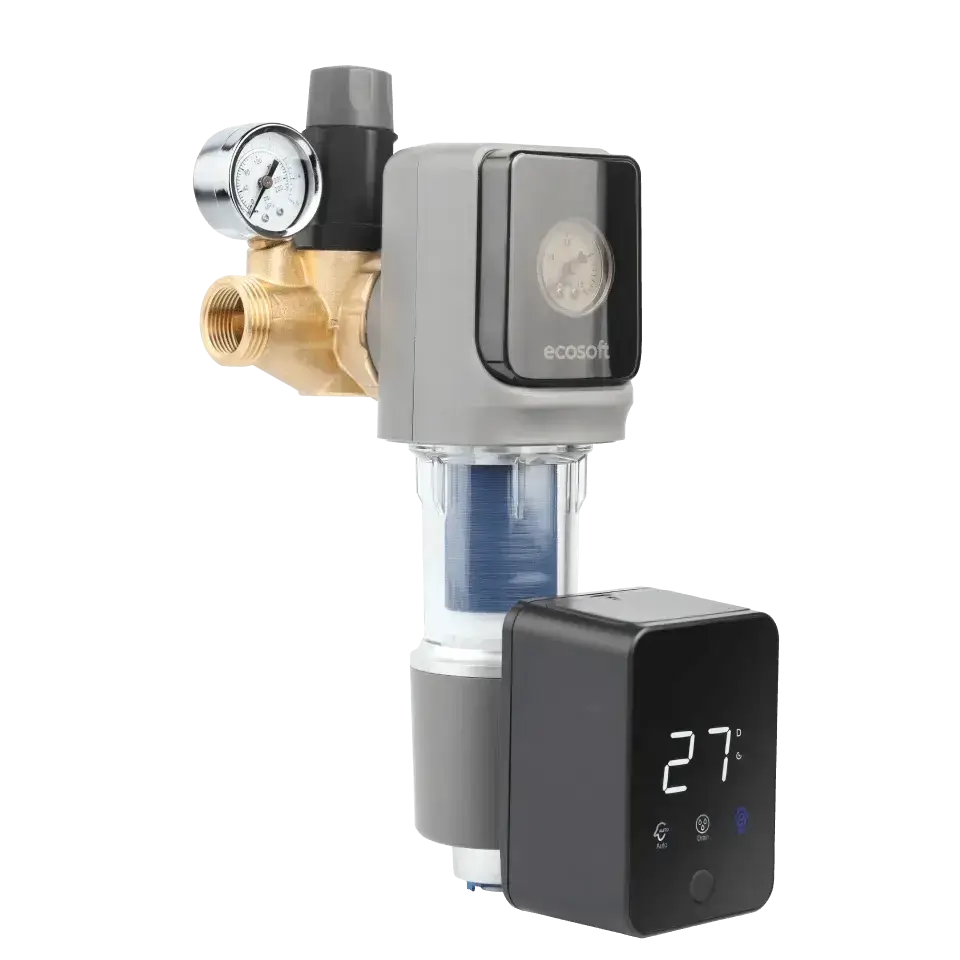 Filtru cu purjare automata, Ecosoft TXHES3, conexiune 1", filtrare sedimente