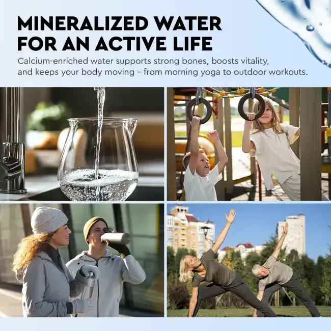 Filtru inline pentru remineralizare, Ecosoft PD2010, mineralizare cu calciu, magneziu și potasiu, conectori rapizi de 1/4", dimensiune 10x2