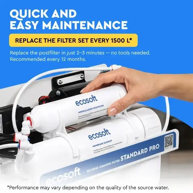 Filtru inline pentru remineralizare, Ecosoft PD2010, mineralizare cu calciu, magneziu și potasiu, conectori rapizi de 1/4", dimensiune 10x2