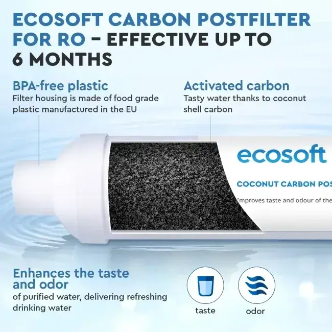 Filtru inline din cărbune activ granular pentru postfiltrare osmoză inversă, Ecosoft CHV2010, din coajă de nucă de cocos, conectori rapizi 1/4", dimensiuni 10.8"x2", compatibil cu furtun flexibil de 1/4