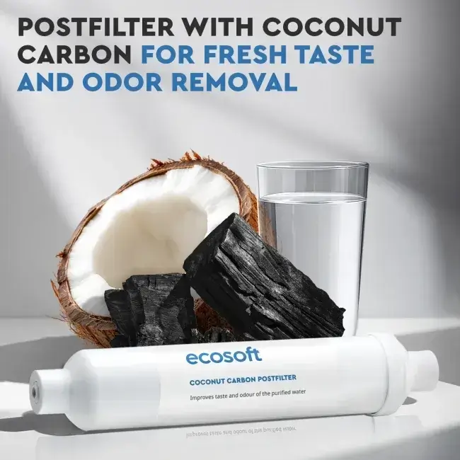 Filtru inline din cărbune activ granular pentru postfiltrare osmoză inversă, Ecosoft CHV2010, din coajă de nucă de cocos, conectori rapizi 1/4", dimensiuni 10.8"x2", compatibil cu furtun flexibil de 1/4