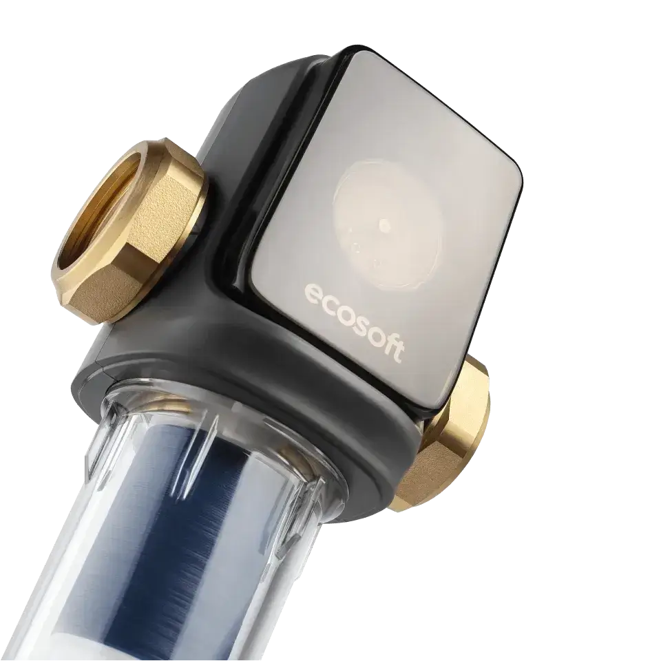 Filtru pentru sedimente cu purjare, Ecosoft TXHES2, conexiune 1",