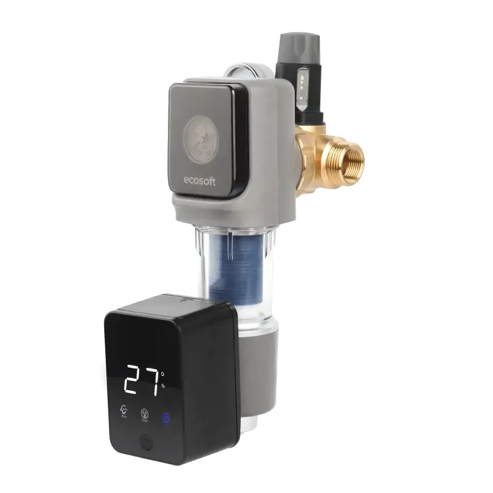 Filtru cu purjare automata, Ecosoft TXHES3, conexiune 1", filtrare sedimente