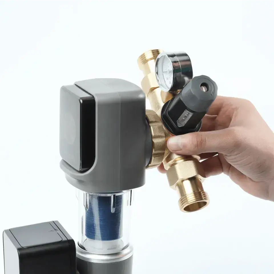 Filtru cu purjare automata, Ecosoft TXHES3, conexiune 1", filtrare sedimente