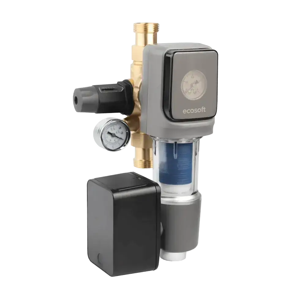 Filtru cu purjare automata, Ecosoft TXHES3, conexiune 1", filtrare sedimente