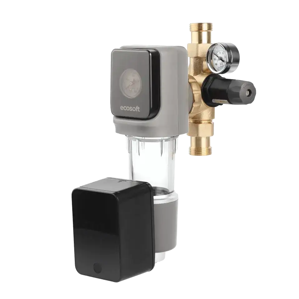 Filtru cu purjare automata, Ecosoft TXHES3, conexiune 1", filtrare sedimente
