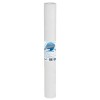 Cartus pentru sedimente, AquaFilter FCPS20-L, 20
